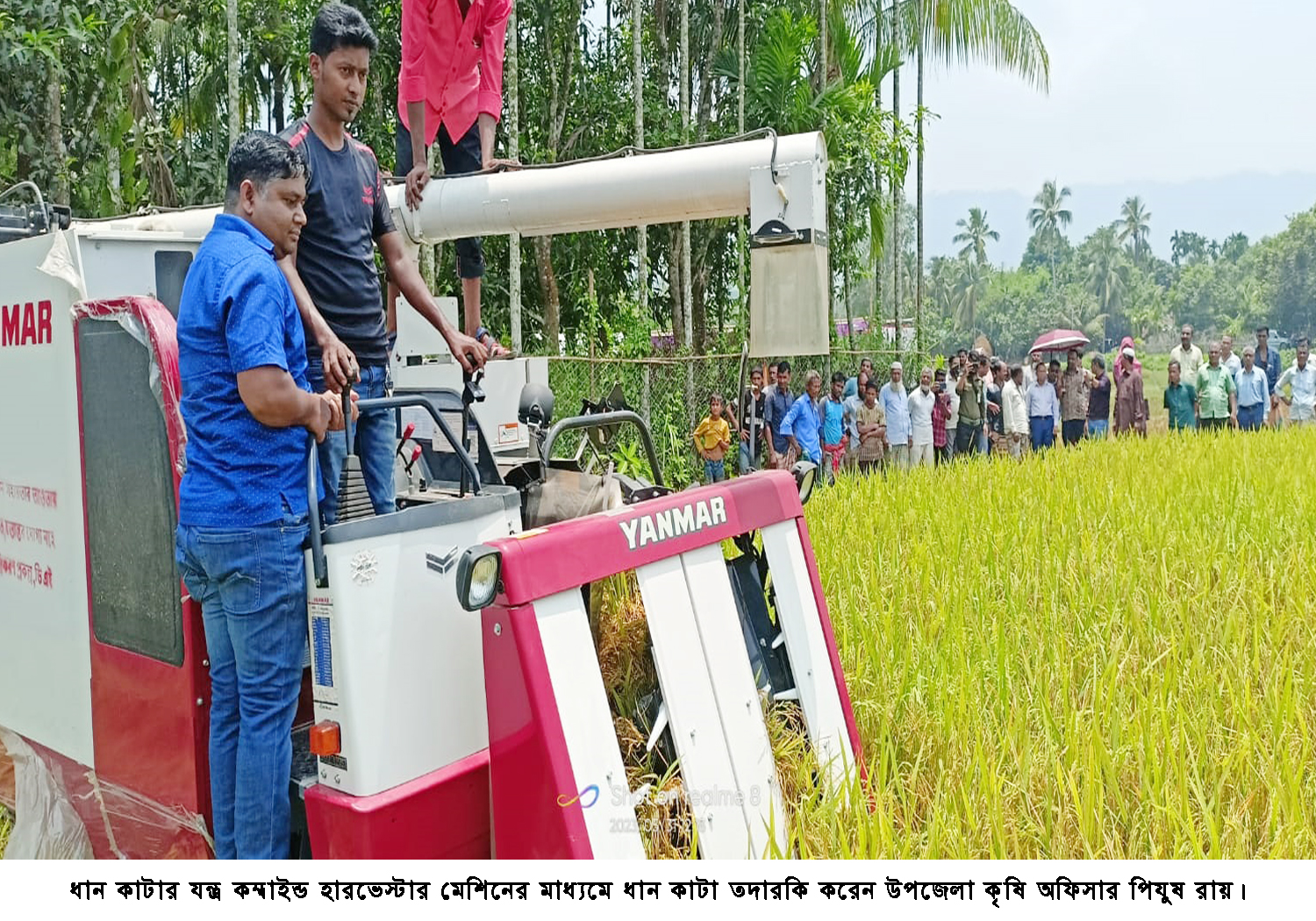 আলীকদমে কম্বাইন্ড হারভেস্টার মেশিনে ধান কাটা উদ্বোধন