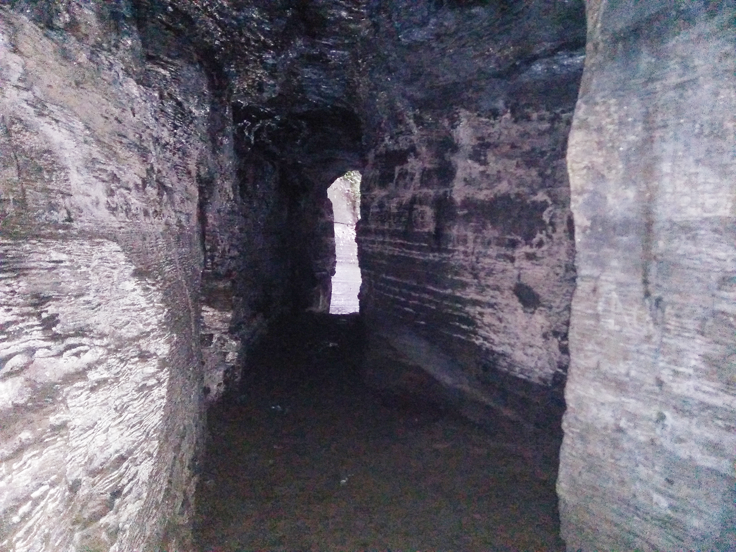 আলীর সুড়ঙ্গ: না-দেখা জগতের হাতছানি