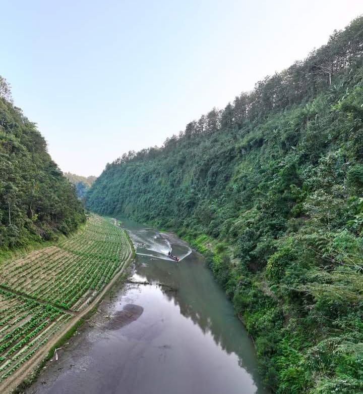 স্রোতের সঙ্গে মানুষের লড়াই, অরণ্যের অন্তঃপুরে