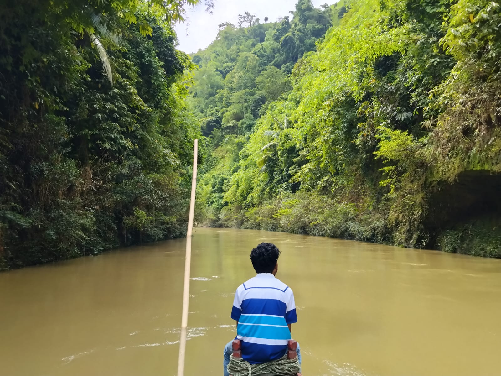 স্রোতের বিপরীতে অরণ্যের আরও গভীরে