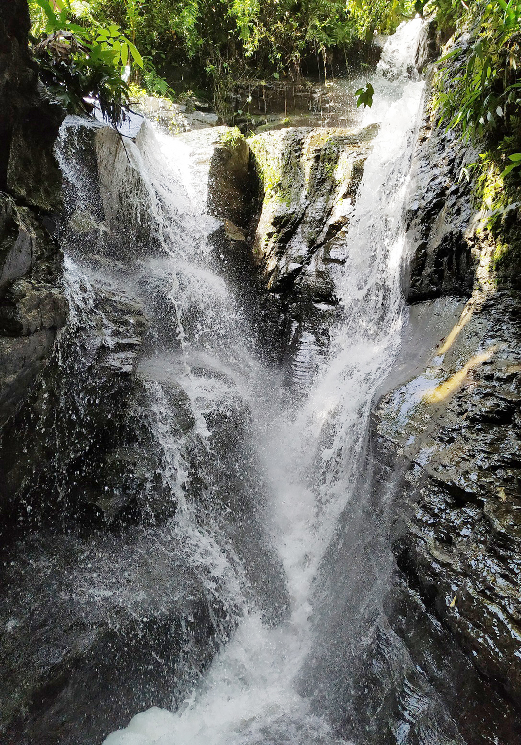 পাহাড়ের নীরবতায় শীলবুনিয়া ঝরনার সৌন্দর্য